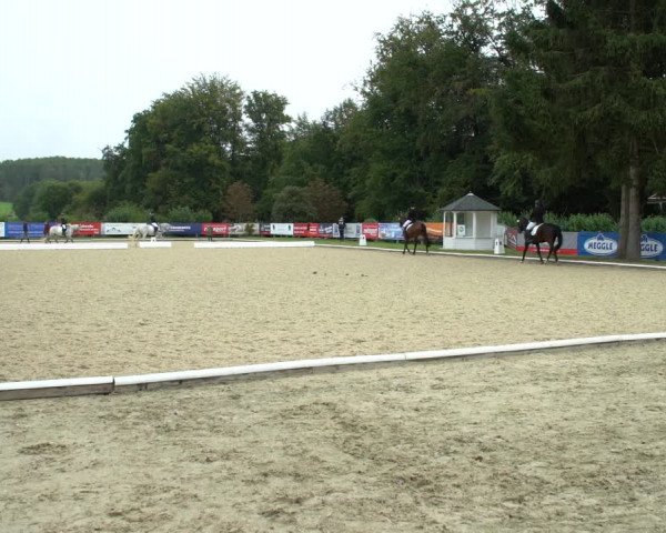 Reitturnier Hof Bettenrode 2020