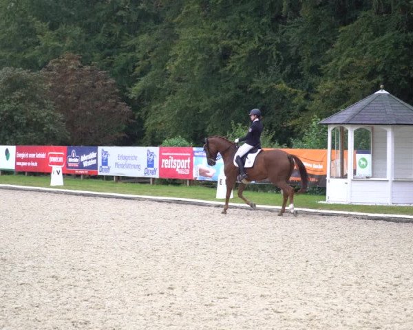 Reitturnier Hof Bettenrode 2020