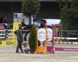 jumper Colero 3 (Westphalian, 2008, from Captain Fire)