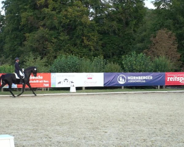 Reitturnier Hof Bettenrode 2020