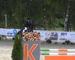 Springpferd Cheyenne Blue 6 (Holsteiner, 2009, von Carrico)
