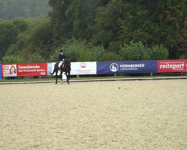 Reitturnier Hof Bettenrode 2020