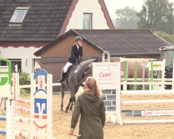 Reitturnier Behrendorf 2020