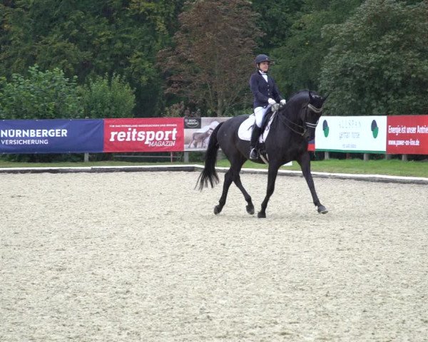 Reitturnier Hof Bettenrode 2020