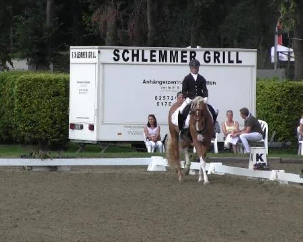 Dressurpferd Top Charly 2 (Westfale, 2009, von Top Champy)