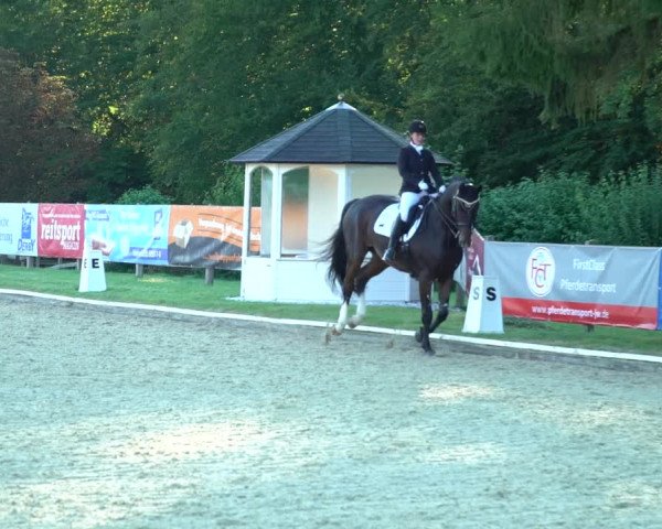 Reitturnier Hof Bettenrode 2020