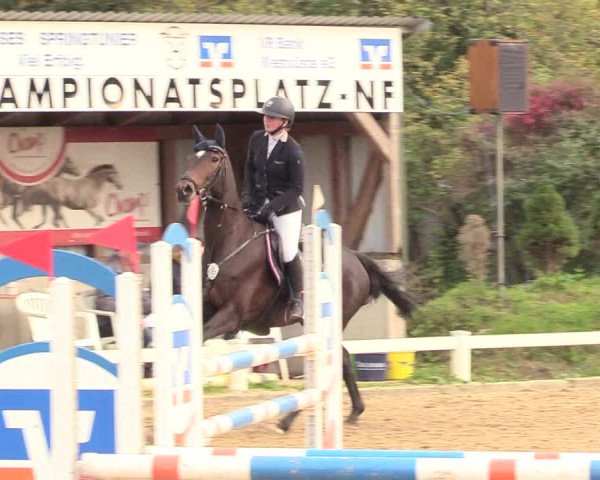 Reitturnier Behrendorf 2020