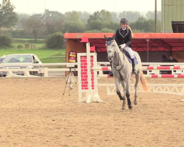 Reitturnier Behrendorf 2020