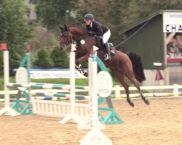 Reitturnier Behrendorf 2020
