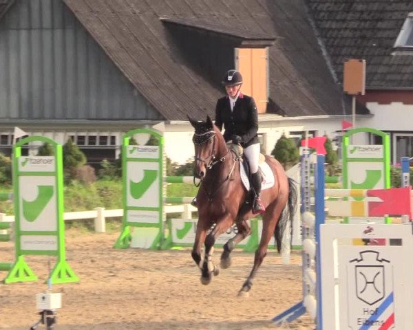 Reitturnier Behrendorf 2020