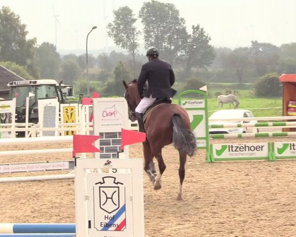 Reitturnier Behrendorf 2020