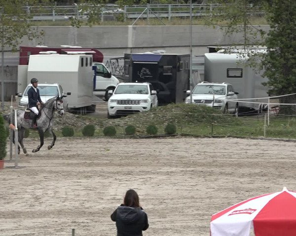 Reitturnier Basel Schänzli 2020