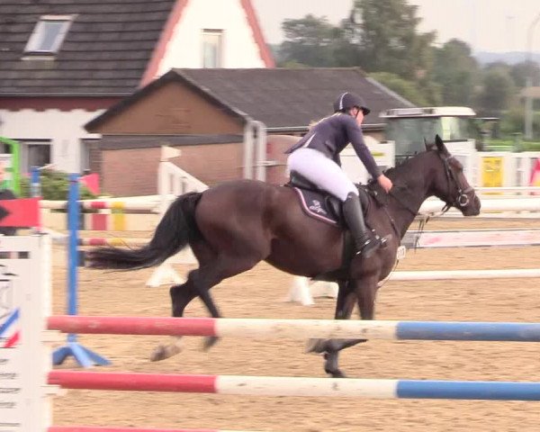 Reitturnier Behrendorf 2020