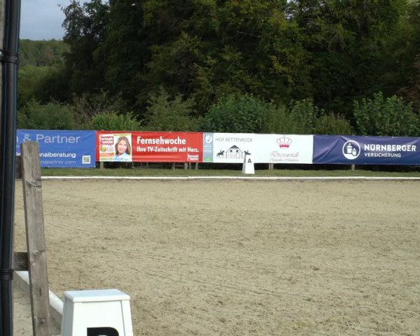 Reitturnier Hof Bettenrode 2020