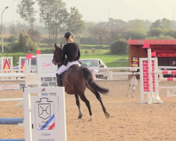 Reitturnier Behrendorf 2020