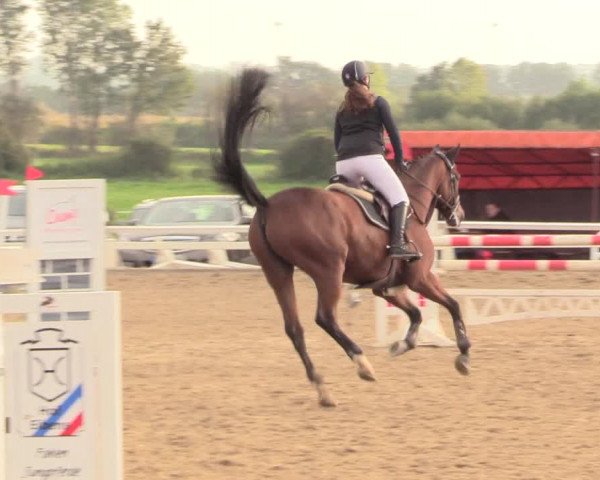 Reitturnier Behrendorf 2020