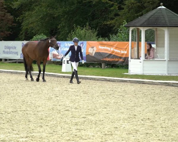 Reitturnier Hof Bettenrode 2020