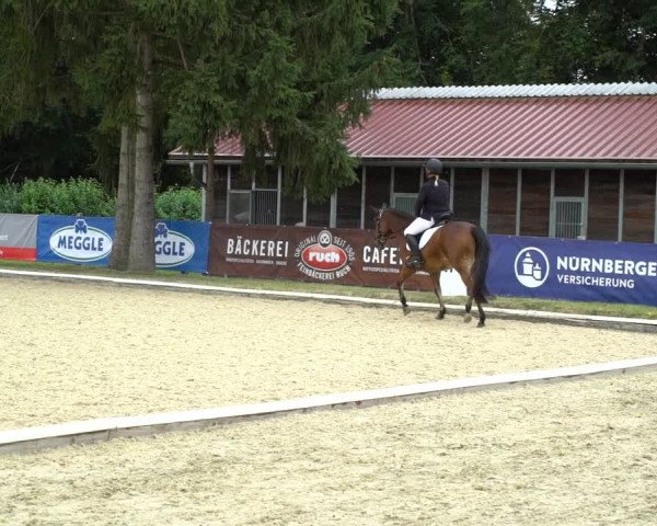 Reitturnier Hof Bettenrode 2020