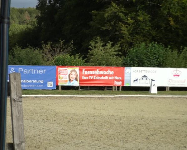Reitturnier Hof Bettenrode 2020