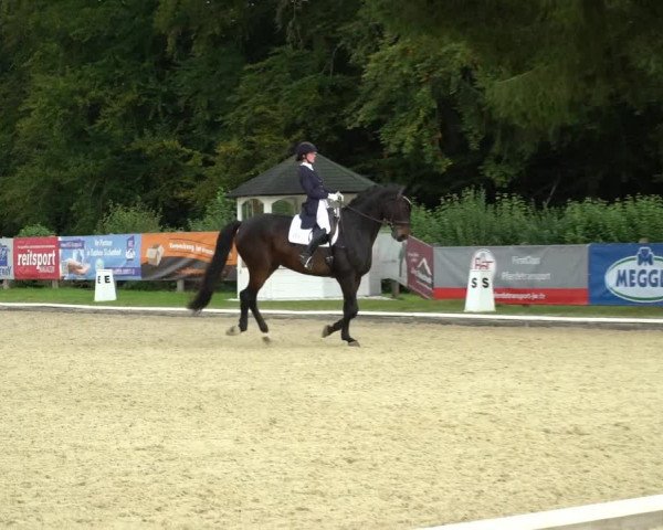 Reitturnier Hof Bettenrode 2020