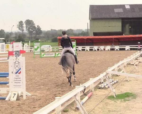 Reitturnier Behrendorf 2020