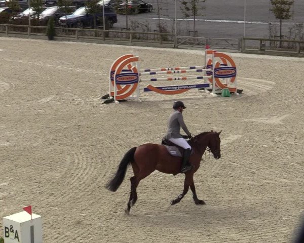FEI Reitturnier Lier (BEL) 2020