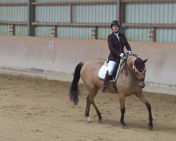 Reitturnier Bad Windsheim/Mfr. 2020