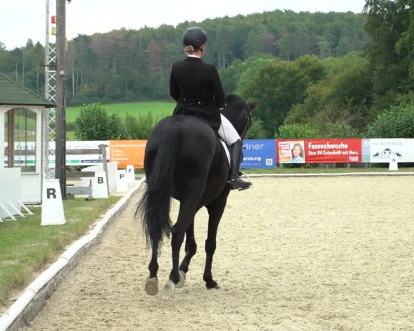 Reitturnier Hof Bettenrode 2020