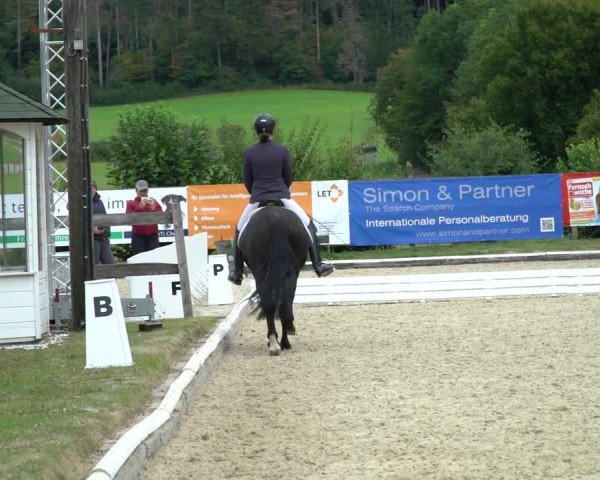 Reitturnier Hof Bettenrode 2020