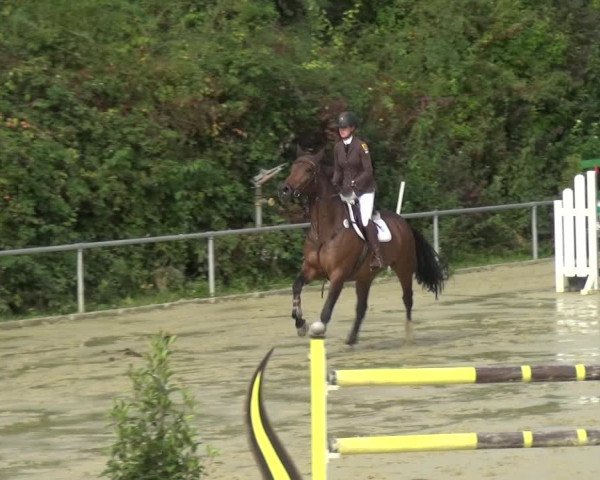 Reitturnier Ladenburg 2020