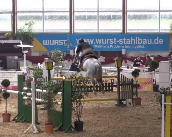 broodmare Arlanka H (KWPN (Royal Dutch Sporthorse), 2005, from Indorado)