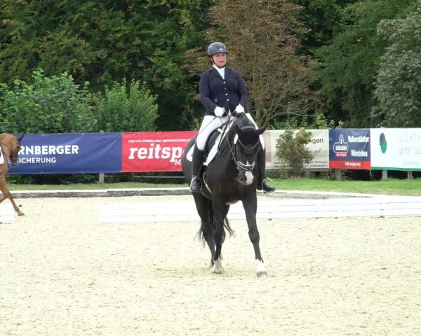 Reitturnier Hof Bettenrode 2020