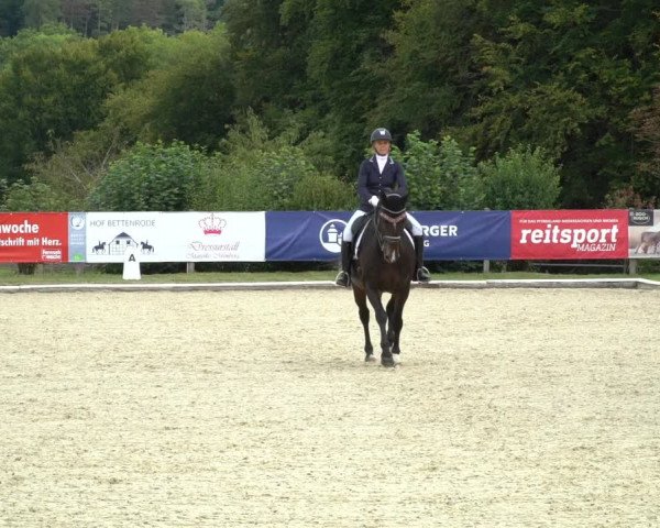 Reitturnier Hof Bettenrode 2020