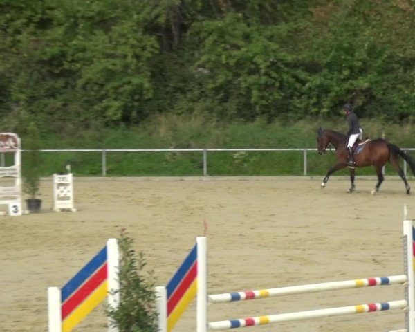 Reitturnier Ladenburg 2020