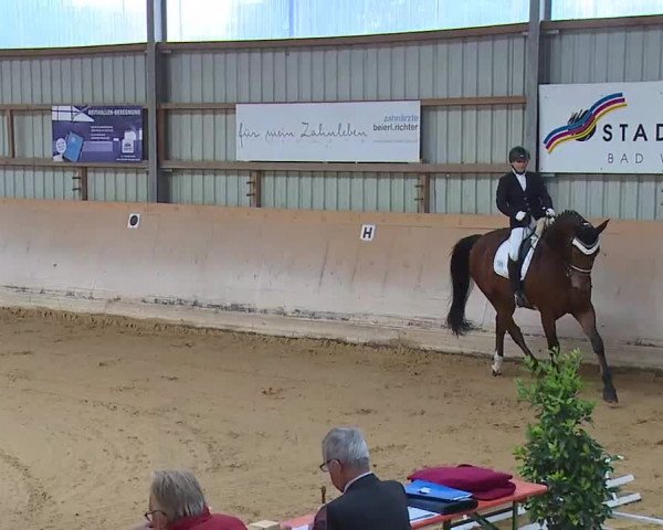 Reitturnier Bad Windsheim/Mfr. 2020