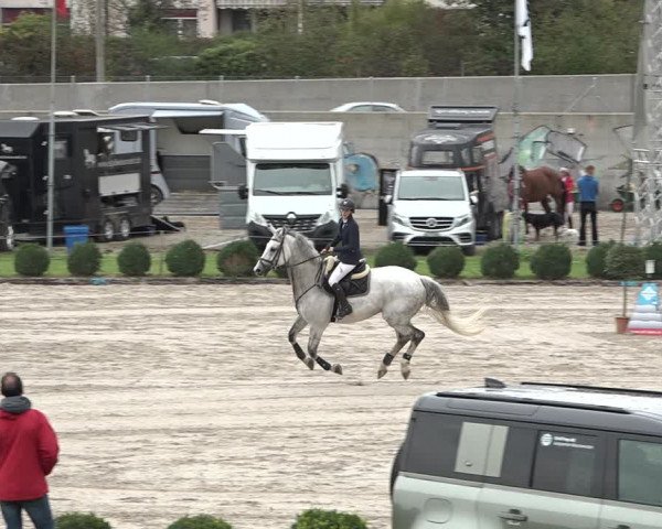 Reitturnier Basel Schänzli 2020