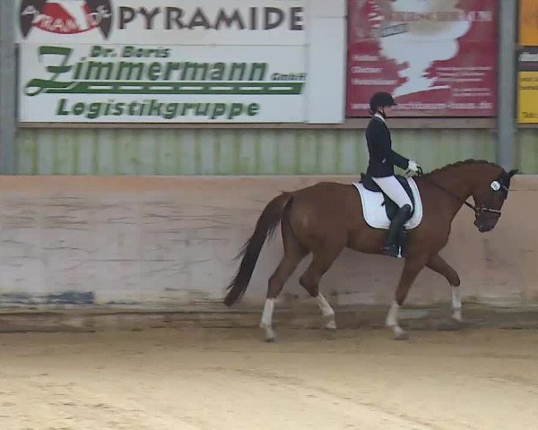Reitturnier Bad Windsheim/Mfr. 2020