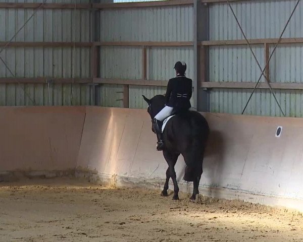Reitturnier Bad Windsheim/Mfr. 2020