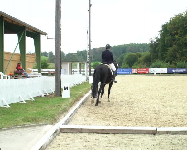Reitturnier Hof Bettenrode 2020
