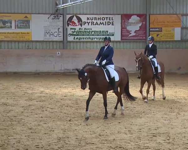Reitturnier Bad Windsheim/Mfr. 2020