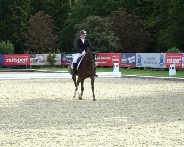 Reitturnier Hof Bettenrode 2020