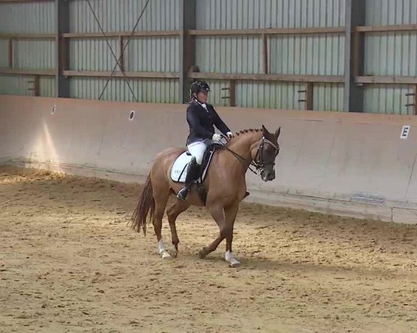 Reitturnier Bad Windsheim/Mfr. 2020