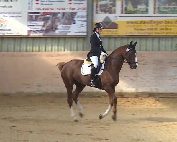 Reitturnier Bad Windsheim/Mfr. 2020