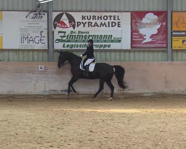 Reitturnier Bad Windsheim/Mfr. 2020