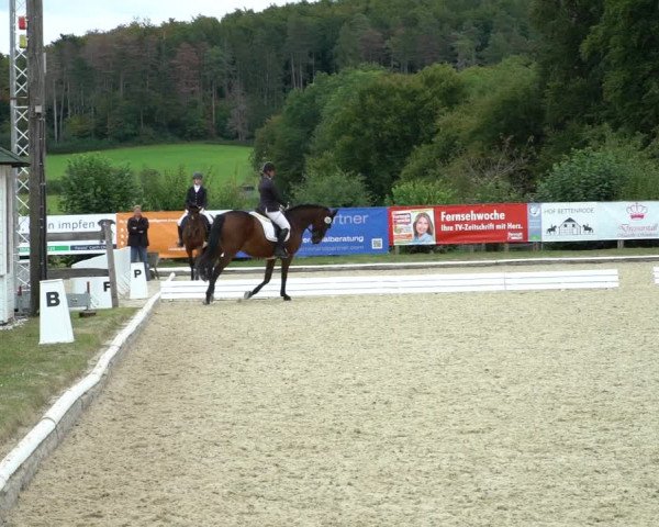 Reitturnier Hof Bettenrode 2020