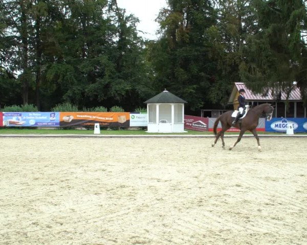 Reitturnier Hof Bettenrode 2020