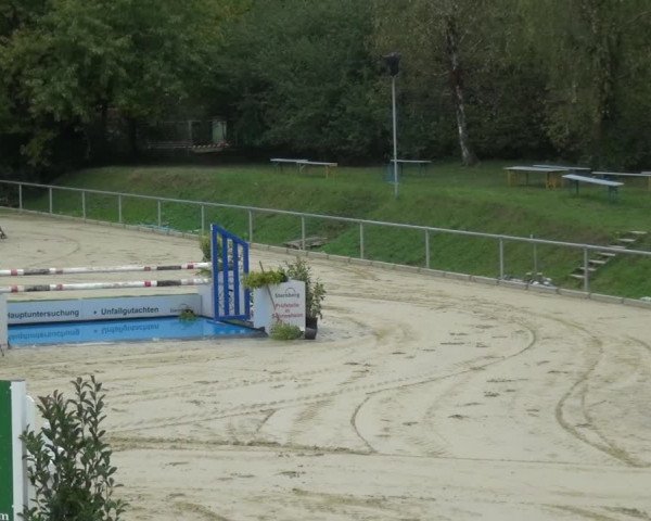 Reitturnier Ladenburg 2020