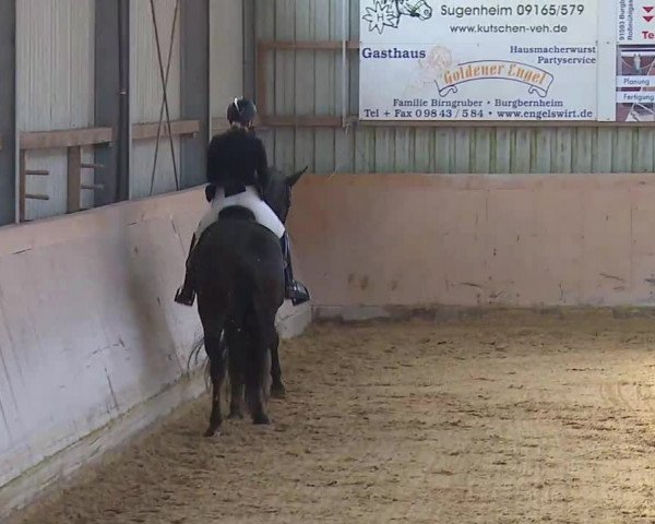 Jezdecký turnaj Bad Windsheim/Mfr. 2020