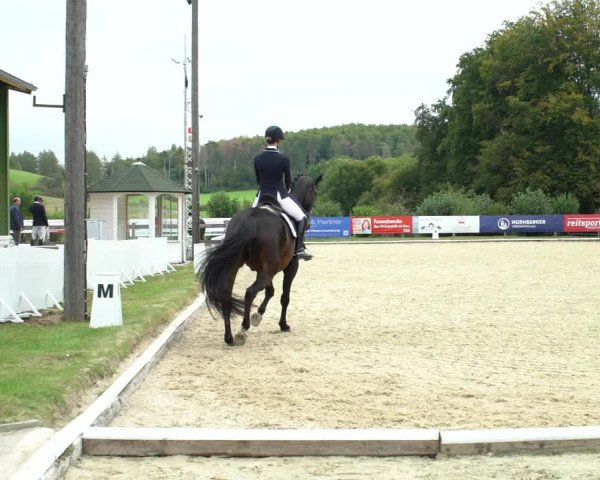 Reitturnier Hof Bettenrode 2020