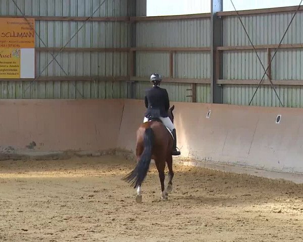 Reitturnier Bad Windsheim/Mfr. 2020